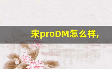 宋proDM怎么样,byd 宋pro